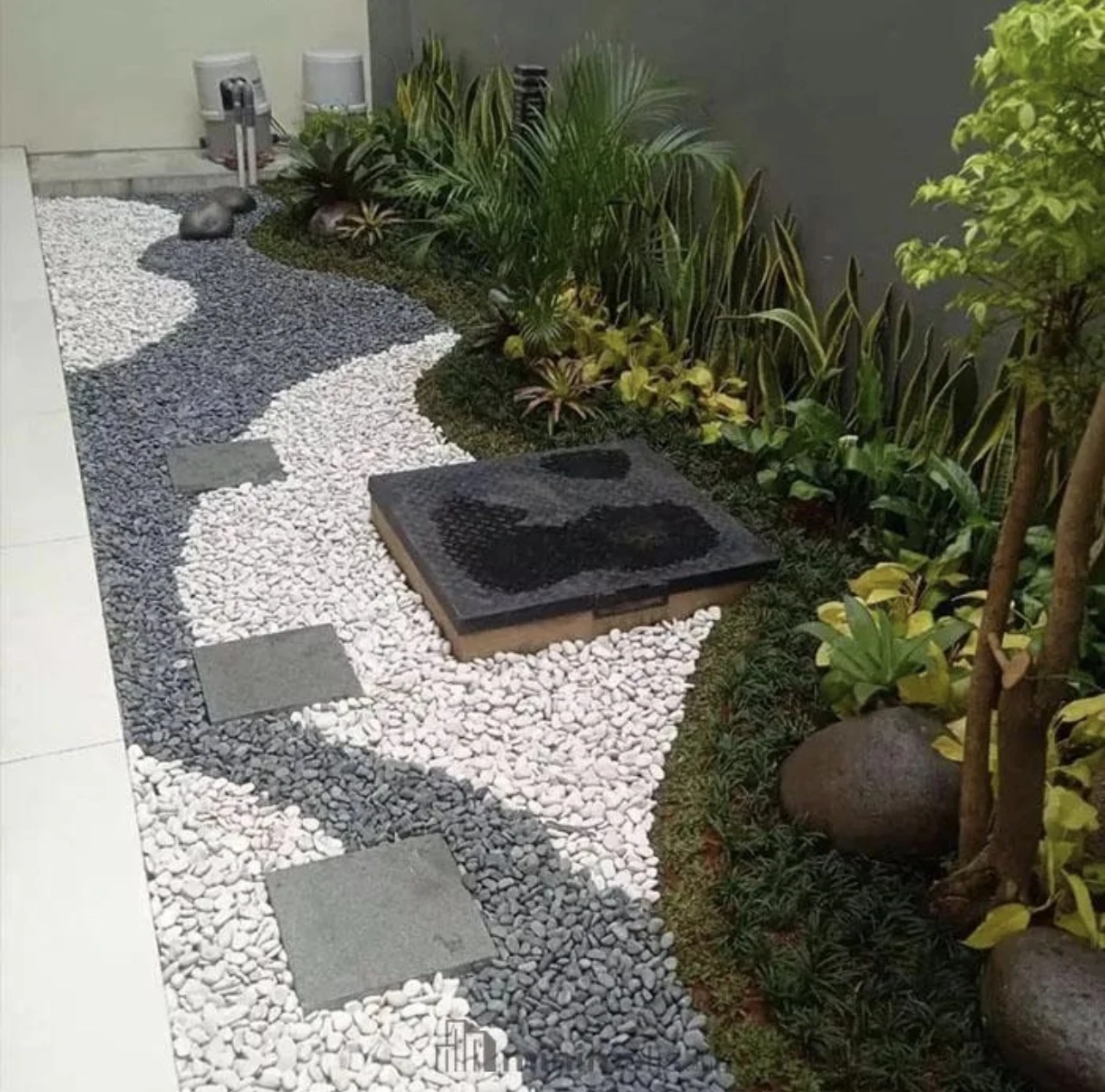 Taman koral batu alam dengan jalur pijak dan tanaman hias
